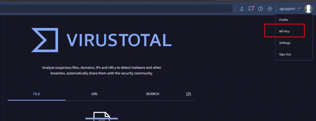 API configuration on Virus Total