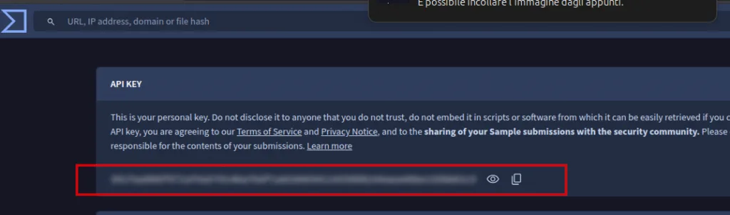 API configuration on Virus Total